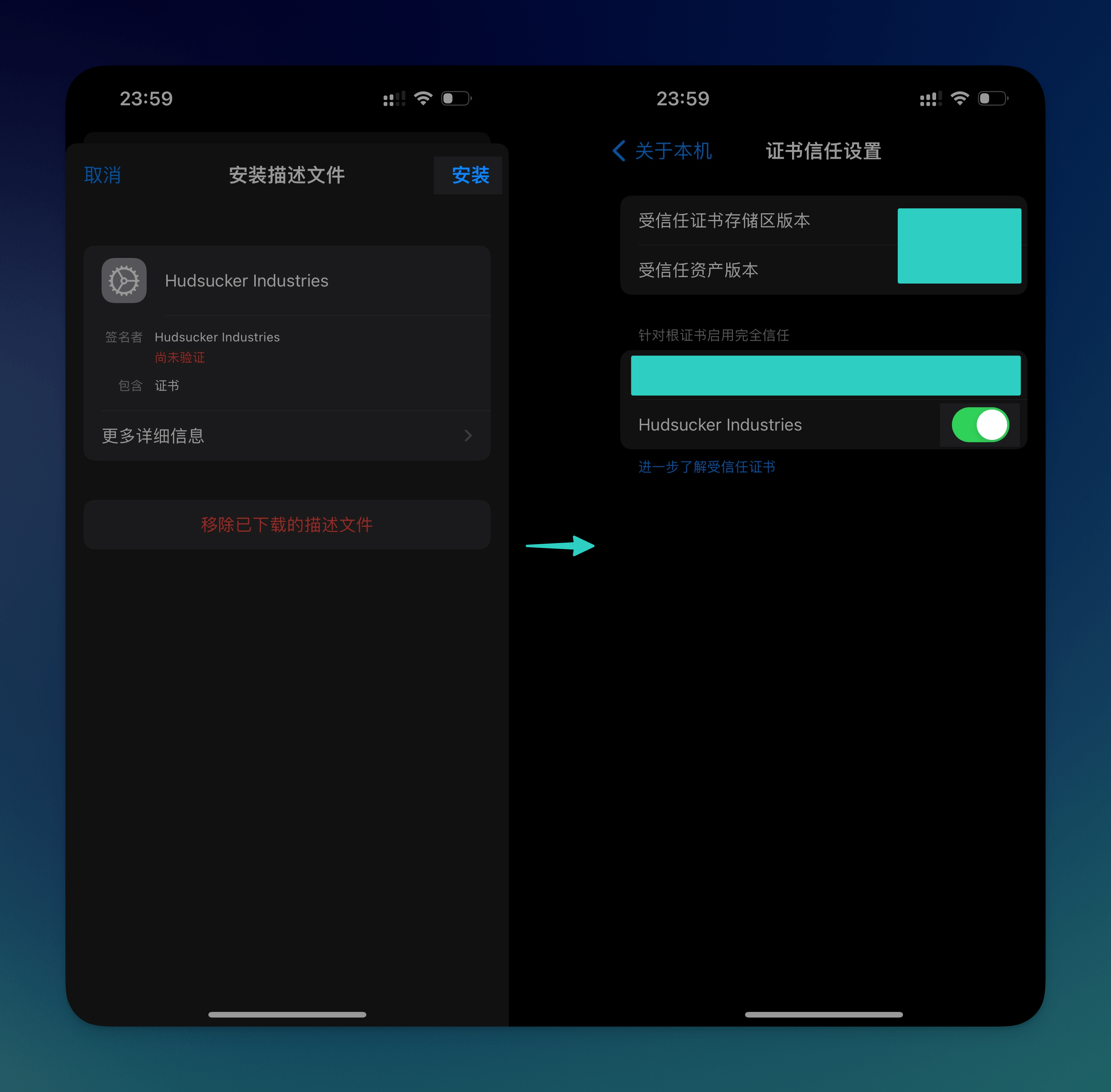 iOS