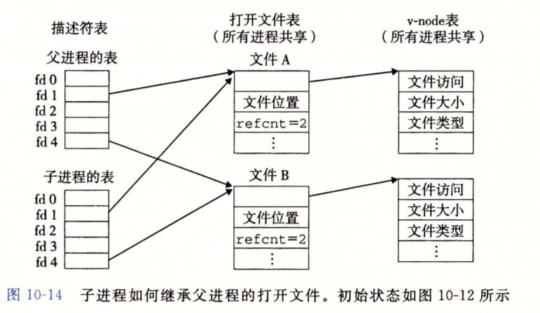 proc_file_dirent